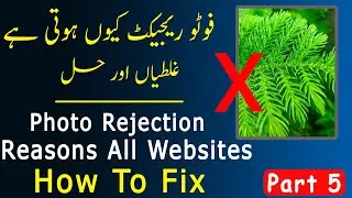 Why Shutterstock Rejected Photos Rejection Reasons | Approve Photo All Websites اردو | हिन्दी