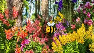 Buzzing Bee with Perlin Noise | p5.js
