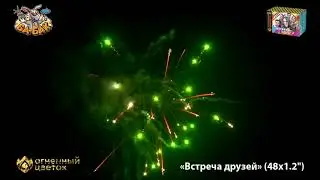 Фейерверк ОС8540 Встреча друзей (1,2
