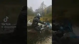 квадро в болоті