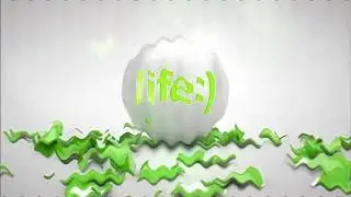 Life Belarus Logo History  WhistlerStar in Meat Aid