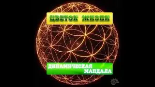 Цветок жизни (динамическая мандала)