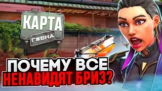 ПОЧЕМУ БРИЗ НЕНАВИДЯТ? / 