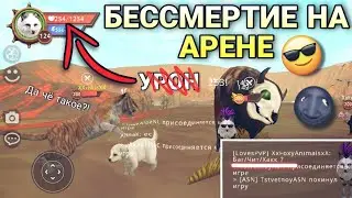 КАК СТАТЬ БЕССМЕРТНЫМ НА АРЕНЕ В WILDCRAFT 😈💥 [БАГ]