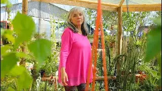 El Jardín de Marisol - Ana Ester Vega