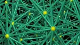 Dimensions trailer