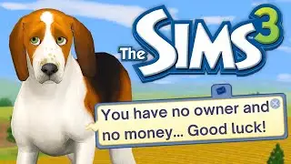 Can a dog survive completely alone in The Sims 3?