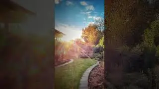 Как изменился наш сад за 10 лет☘️Фото до и после