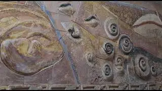 Murales en Unison: Reportaje