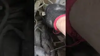 под площадкой аккумулятора штекер гранд Пикассо с4