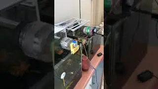 Otomatik yemleme