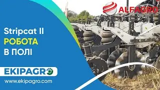 Stripcat II: РОБОТА В ПОЛІ