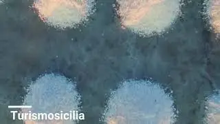 Saline di Marsala e Trapani (TP)  Riserva naturale orientata 