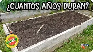 BANCALES ELEVADOS DE MADERA : ¿Cuánto DURAN? 6 Años Después y otras preguntas || La Huertina De Toni
