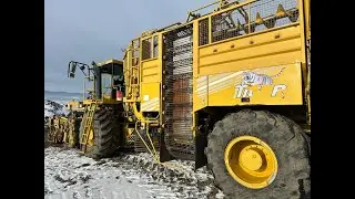 Перевірка бурякозбиральний Ropa Tiger 4 2012 рік