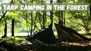 Tarp Camping in The Forest | Simple Tarp Shelter
