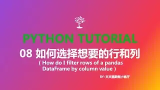 08 how do I filter rows of a pandas dataframe by column value
