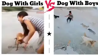 Girls Vs Boys With Dog🔥|| Shubhanshu Verma ||#memes