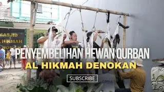 Proses penyembelihan hewan Qurban Masjid Al Hikmah Denokan 2024