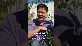 Bloqueie o mato #plantas #plantasemvasos #frutíferasemvasos #mulching #coberturamorta #jardinagem