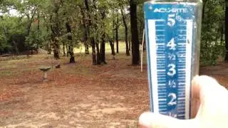 Rain - 9/20/13