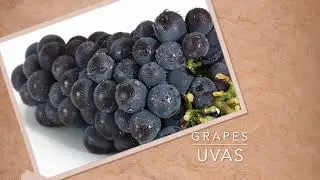 Fruit Translations in Spanish - Part 1- Traducciones de frutas en Inglés