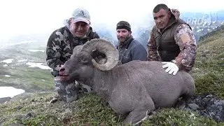 Kamchatka Snow Sheep hunt 4K