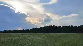 Шосткинщина . Ображіївські пейзажі 📽️🌞🌳