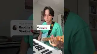 The Strokes - Reptilia (guitar loop pedal cover)