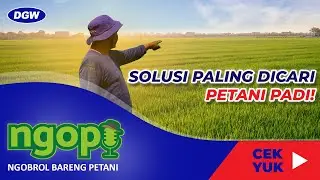 PENGGUNAAN INSEKTISIDA DAN HERBISIDA YANG TEPAT MEMBUAT PANEN MENINGKAT! -  NGOPI #9