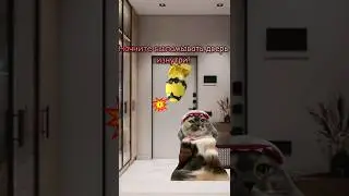 Добейте пж 60к подписчиков к 20 июля! 