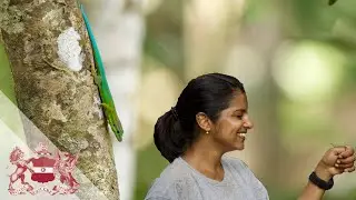Reptiles on Islands: Gecko Stories from the Indian Ocean Islands | Ashwini Mohan