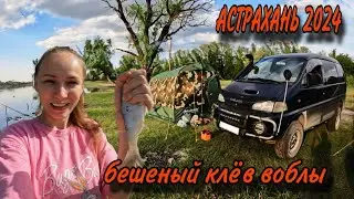 С ПАЛАТКАМИ В АСТРАХАНЬ//НАЛОВИЛИ РЫБЫ//ЖИВЕМ ДИКАРЯМИ