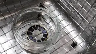 Lomo prime lens service. Iris module parts washing.