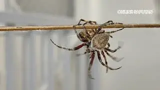 Mas malinaw pa sa madilim