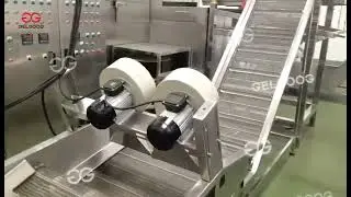 Frozen French Fries Processing Line Installation Site