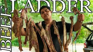 BEEF RIBS LADDER | Beef Ribs BBQ | Smoked Beef Ribs |