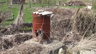 ОГОРОДНЫЙ ВЛОГ/МЕСТО ПОД КАРТОШКУ/РАССАДА В ТЕПЛИЦАХ