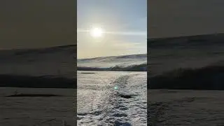 Не много весеннего кусочка🌷