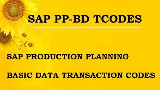 SAP Production Planning Basis Data module Transaction Codes (PP-BD Tcodes)