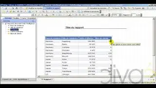 Webi R3 exo21 - Filtres sur les rapports