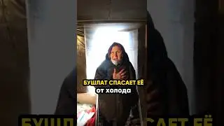 Бушлат спасает её от холода.. @IgorMedov
