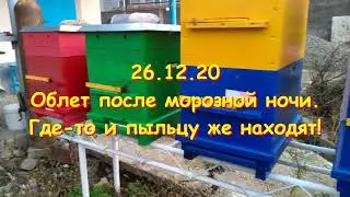Облет 26.12.2020