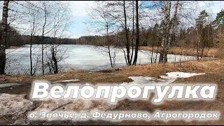 Велопрогулка