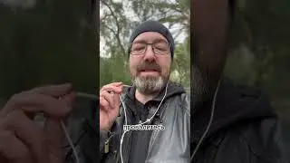 Платить или не платить за образование?