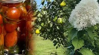 Очень Занятый День | Хочу Успеть Всё