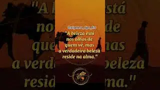 #frasesmotivadoras #dpn #pensamento #alto  #alpensa