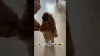Внимание! Это просто ШОК😲 