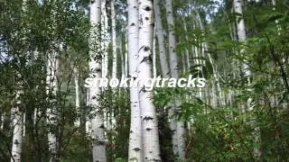 Bibio - Raincoat (Khüdósoul Remix)