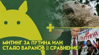 Митинг за Путина или Стадо Баранов || Сравнение